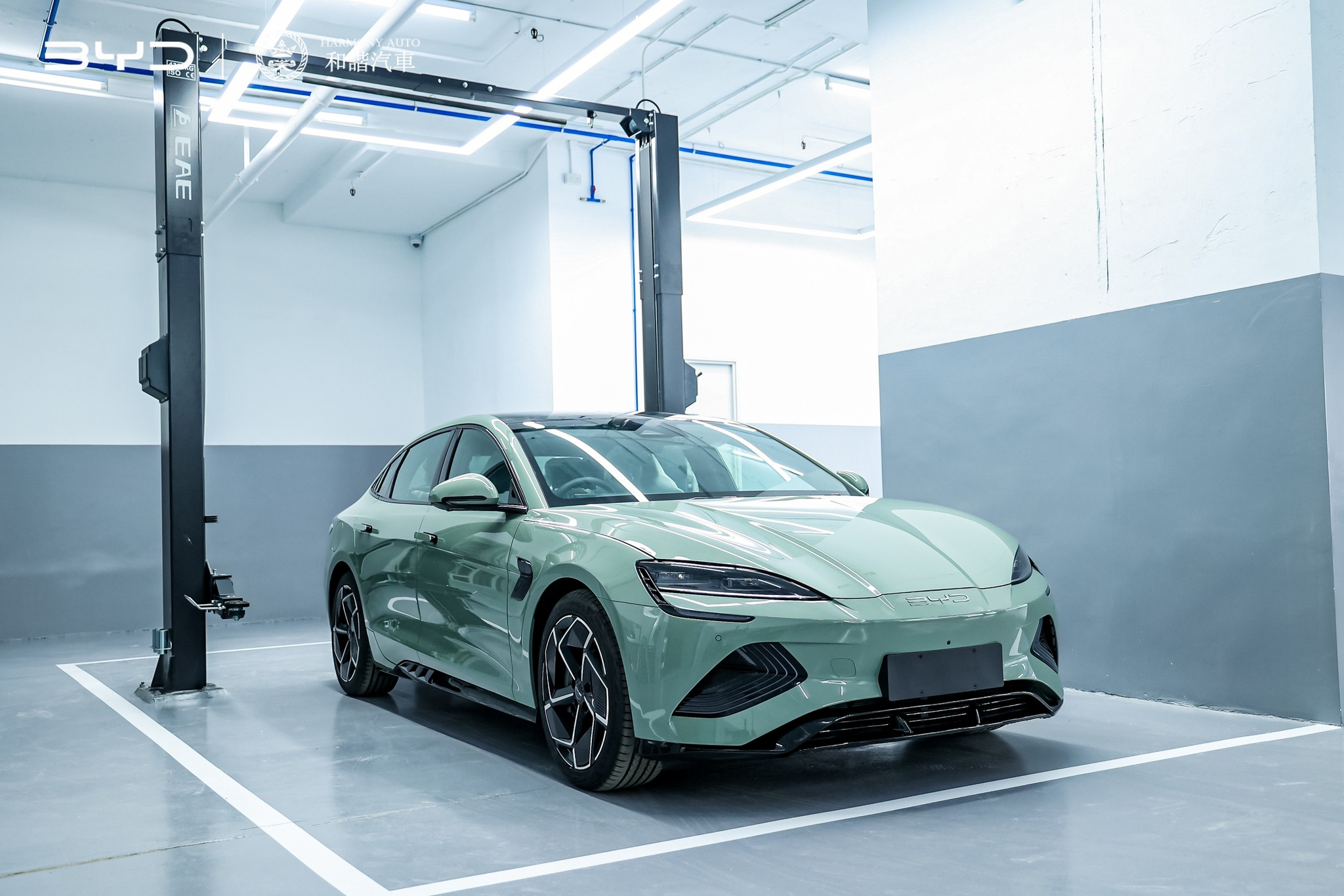 本頁圖片/檔案 - 515064040_122144528894072413_5736250272381764496_n